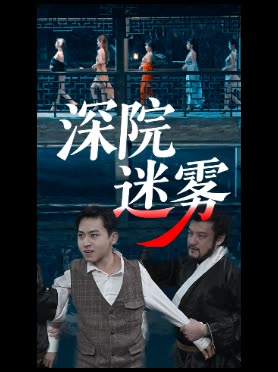 深院迷雾封面