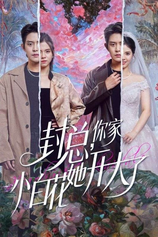 封总,你家小白花她开大了封面