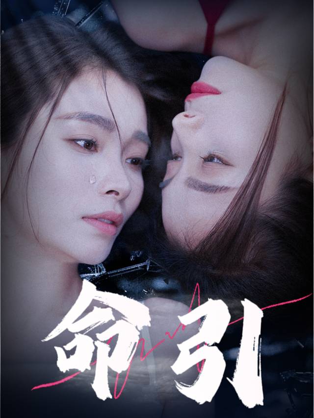 命引封面