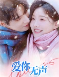 爱你无声封面