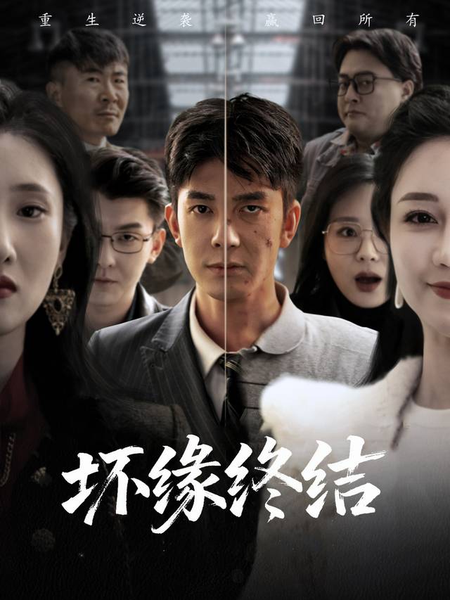 坏缘终结封面