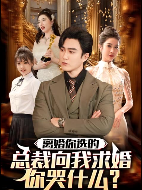 离婚你选的总裁向我求婚你哭什么封面