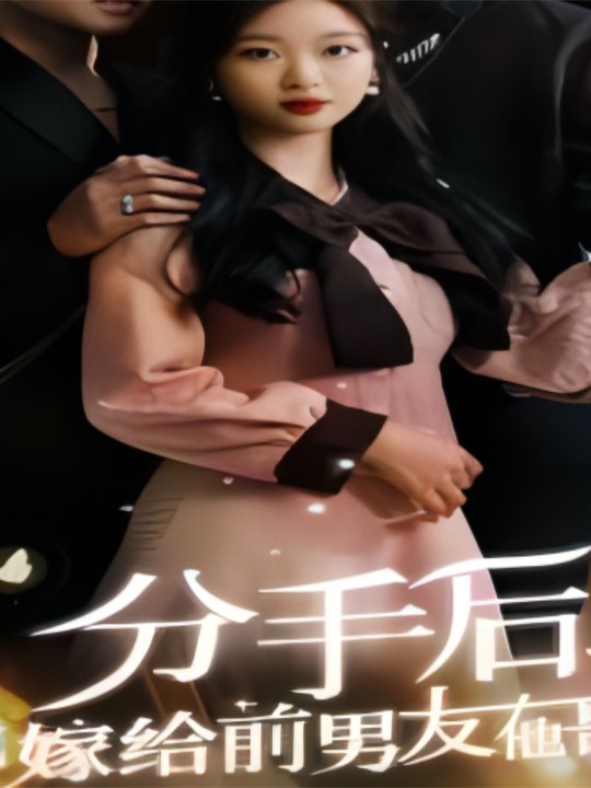 分手后再嫁封面
