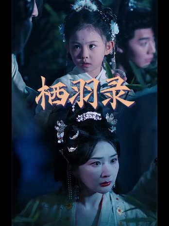 栖羽录封面
