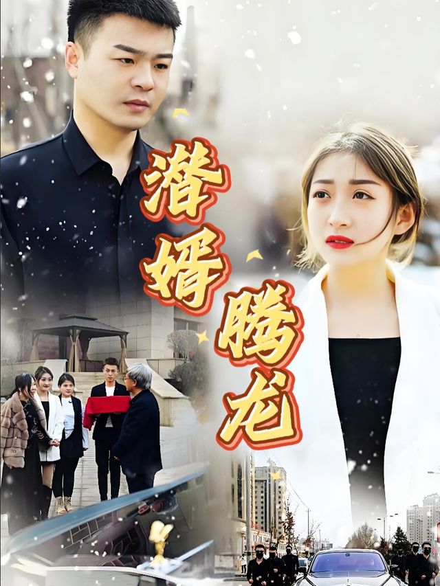 潜婿腾龙封面