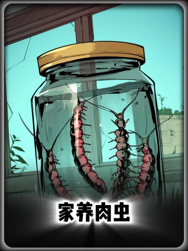家养肉虫封面