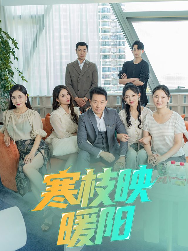 寒枝映暖阳封面