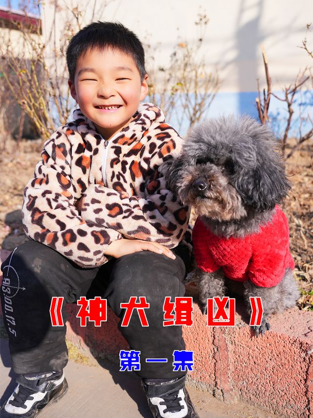 神犬锤锤之神犬缉凶封面