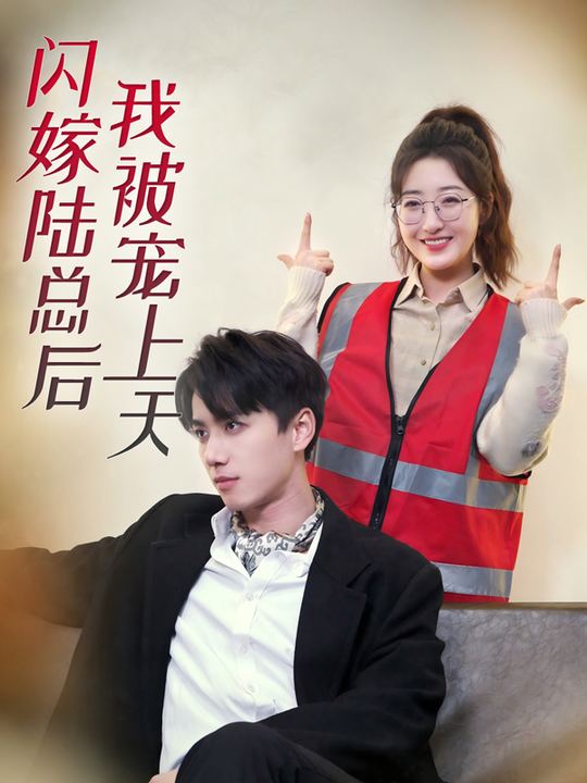 闪嫁陆总后我被宠上天封面