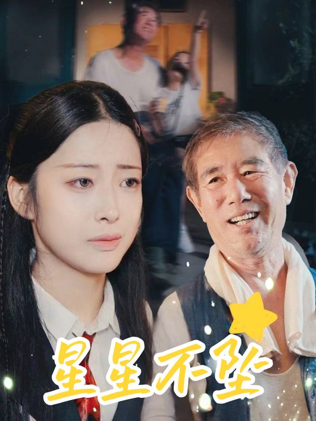 星星不坠封面