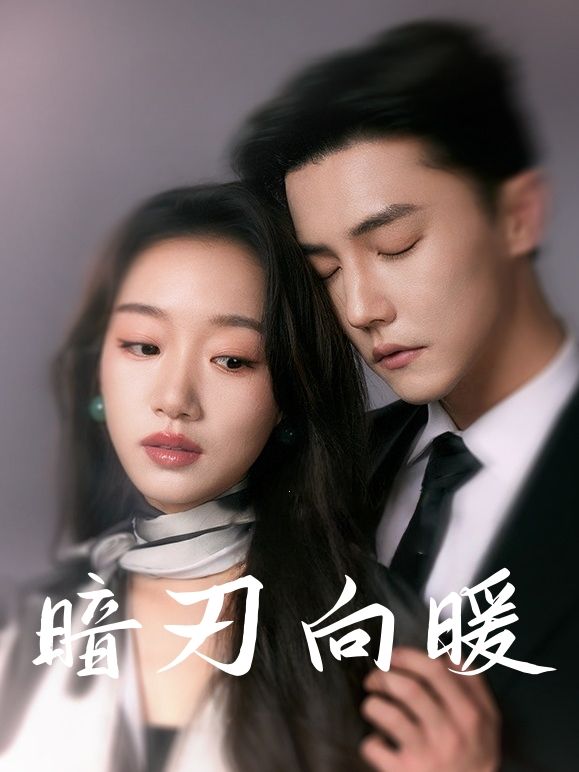 暗刃向暖封面