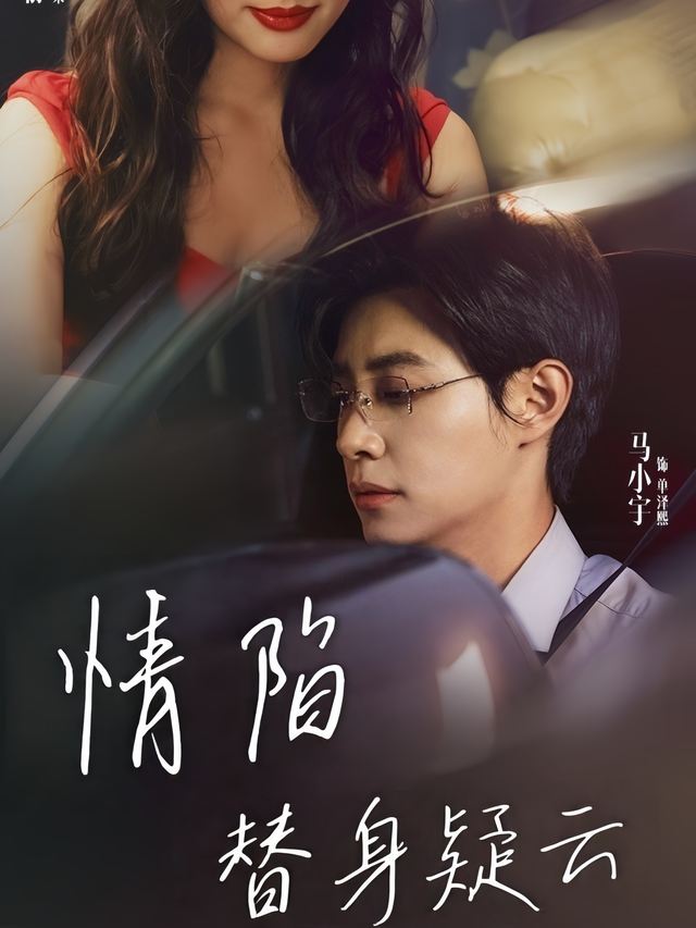 情陷替身疑云封面