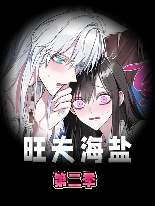 旺夫海盐第二季封面