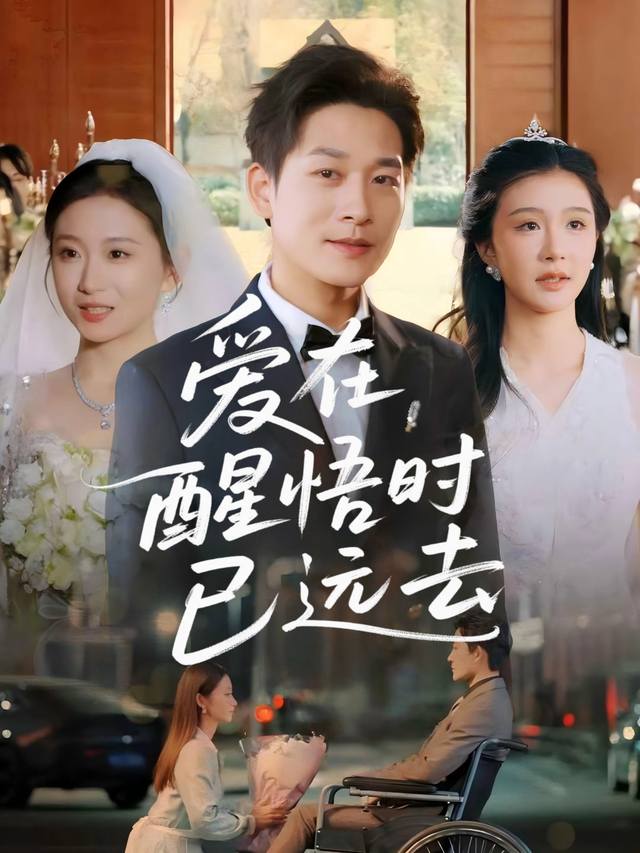 爱在醒悟时已远去封面