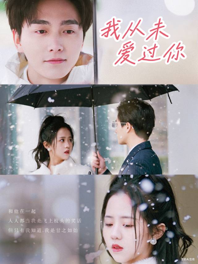 我从未爱过你封面