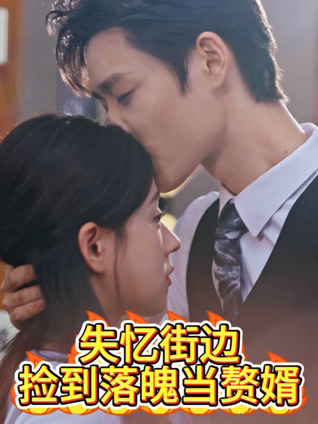 失忆街边捡到落魄当赘婿封面