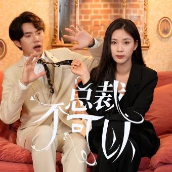 总裁不可以封面