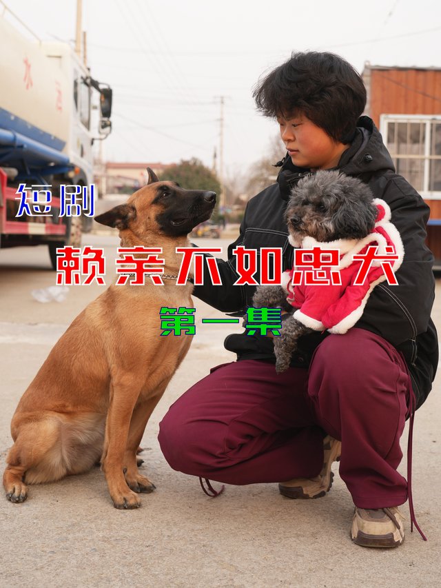 神犬锤锤之赖亲不如忠犬封面