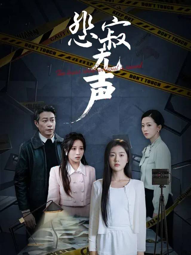 悲寂无声封面