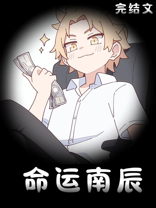 命运南辰封面