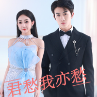 君愁我亦愁封面
