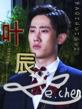 叶辰封面