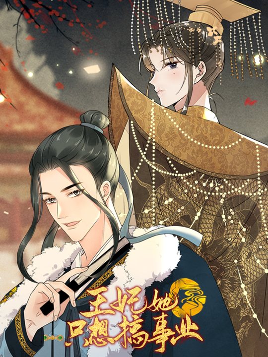 王妃她只想搞事业封面