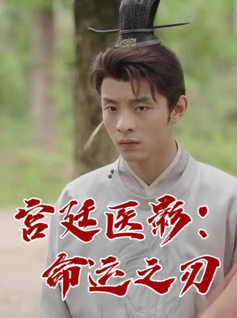 宫廷医影:命运之刃封面