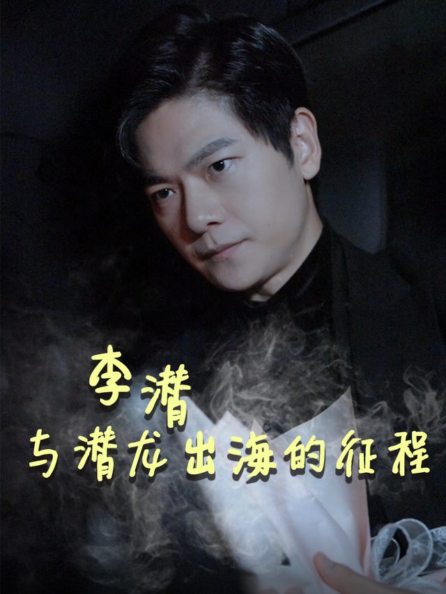 李潜与潜龙出海的征程封面