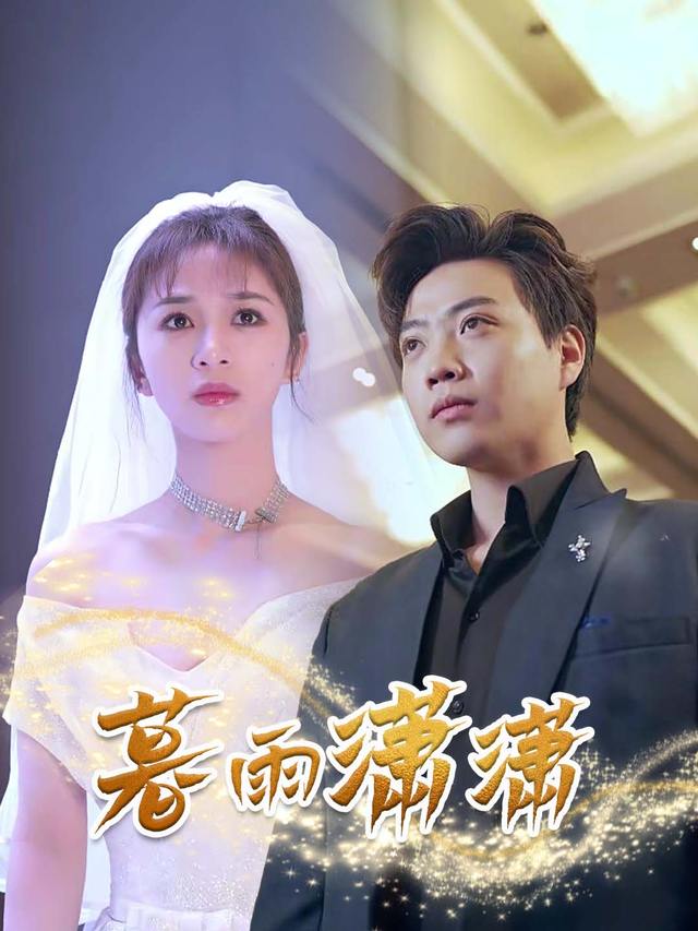 暮雨潇潇封面