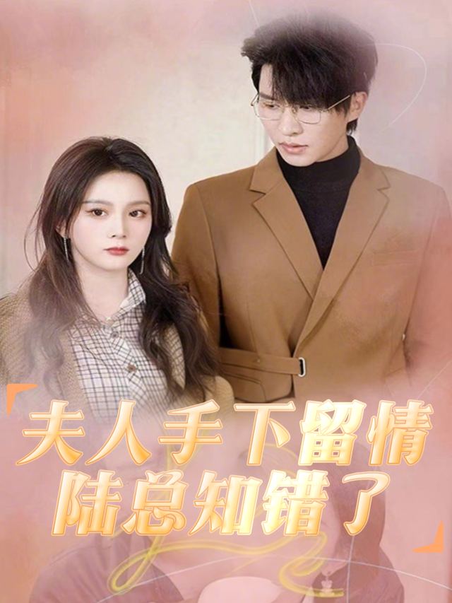 夫人手下留情陆总知错了封面