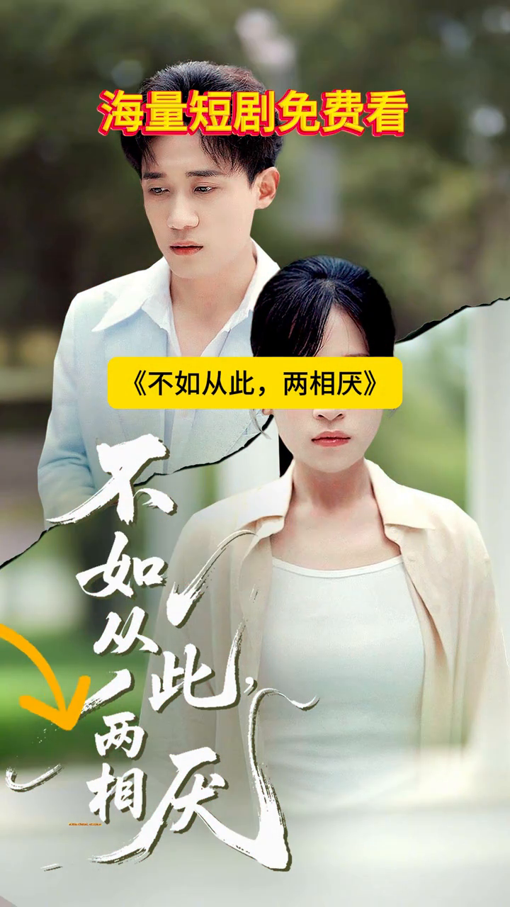 不如从此,两相厌封面