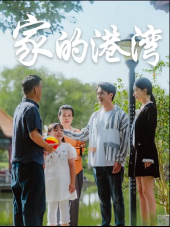家的港湾封面