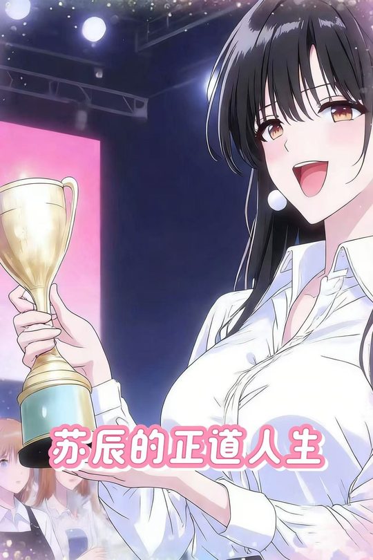 苏辰的正道人生封面