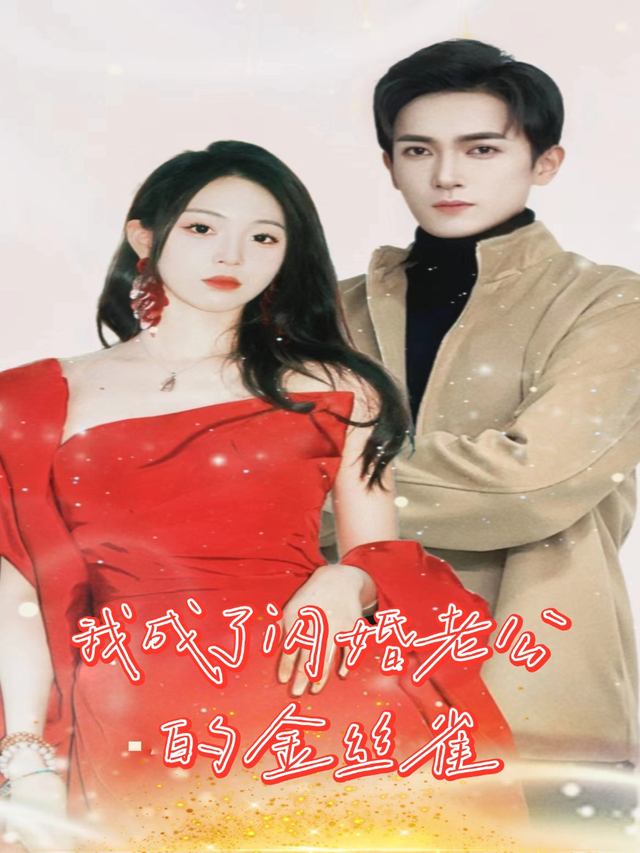 我成了闪婚老公的金丝雀封面