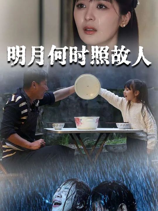 明月何时照故人封面