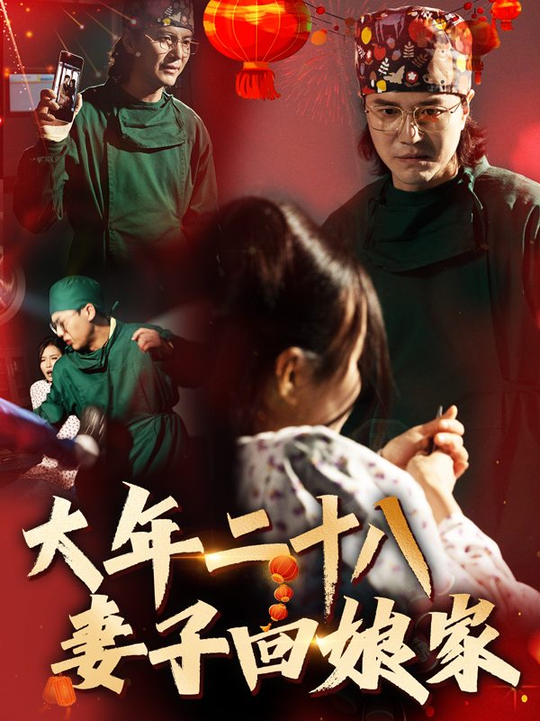 大年二十八,妻子回娘家封面