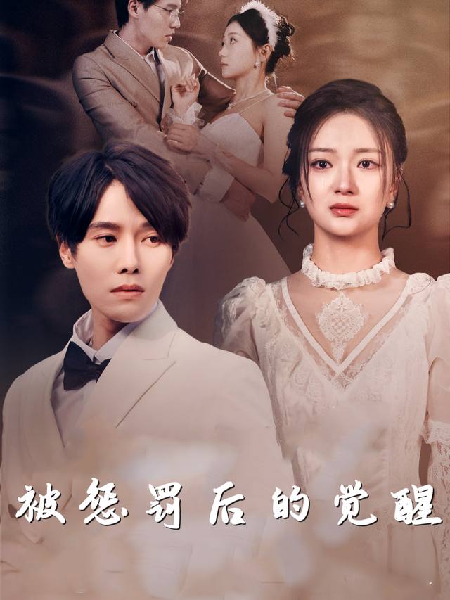 被惩罚后的觉醒封面