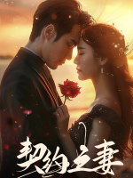 契约之妻封面
