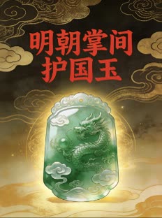 明朝掌间护国玉封面