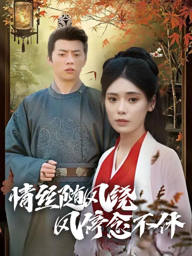 情丝随风绕,风停念不休封面