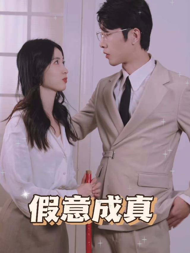 假意成真封面
