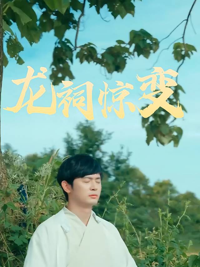 龙祠惊变封面