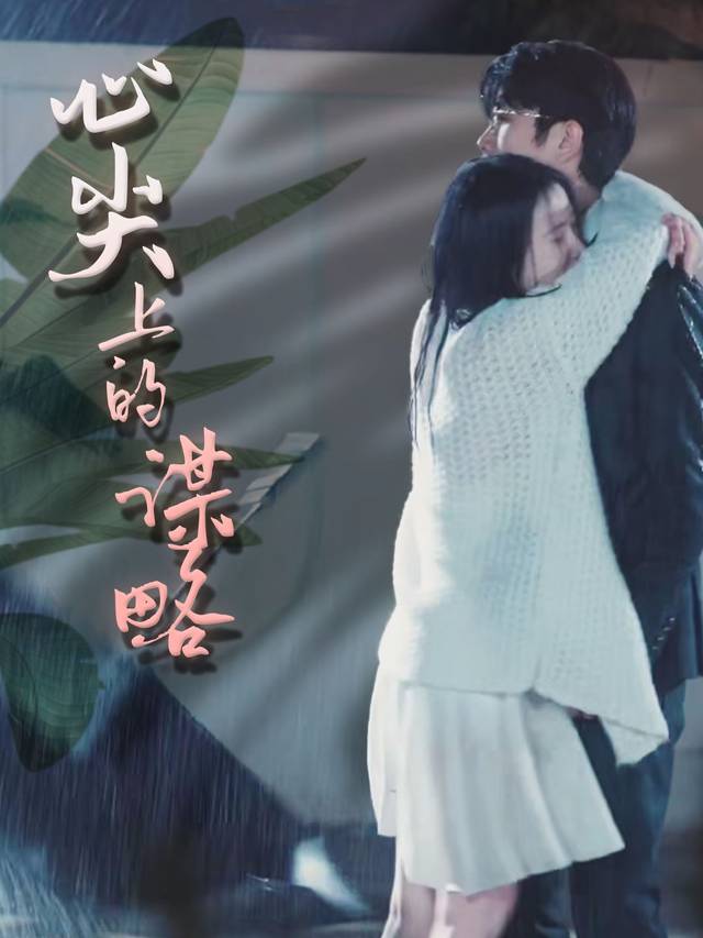 心尖上的谋略封面