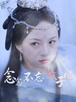 念念不忘太子妃封面