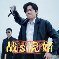 战s虎婿封面