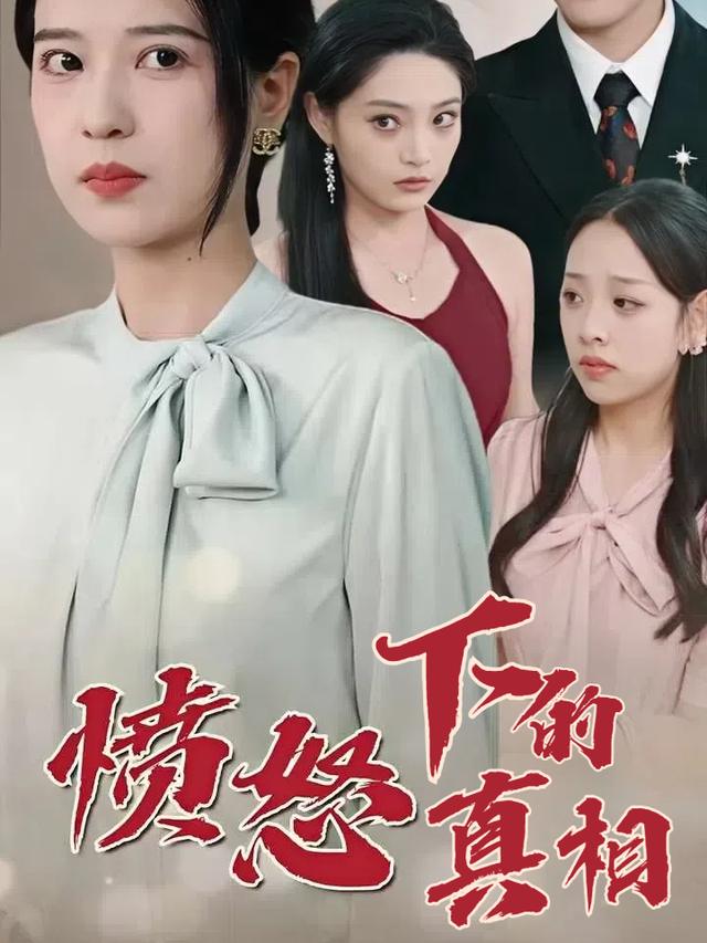 愤怒下的真相封面