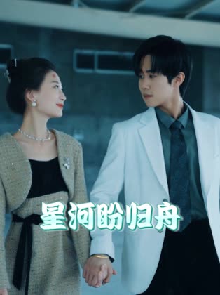 星河盼归舟封面