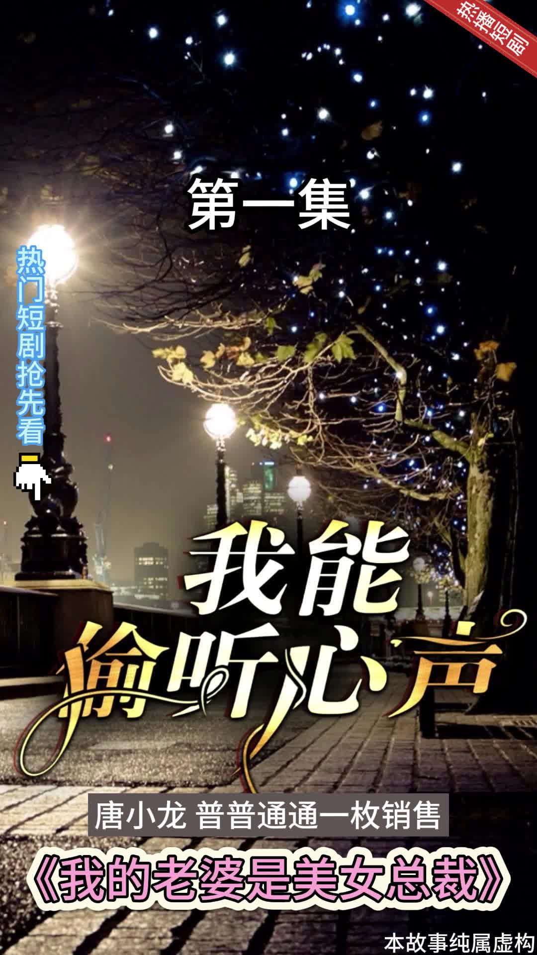 我的老婆是美女总裁封面