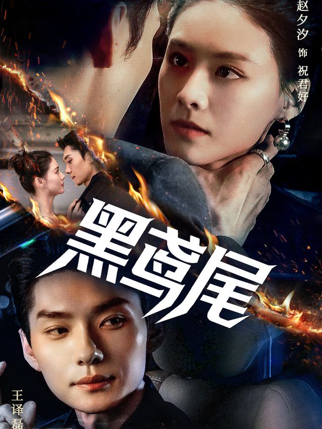 黑鸢尾封面